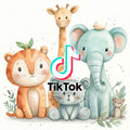 TikTok Add-On